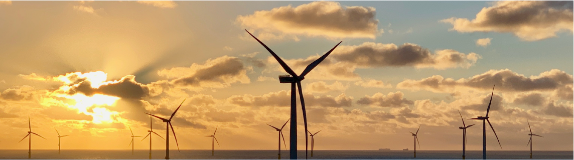 矢量智能對象 矢量智能對象